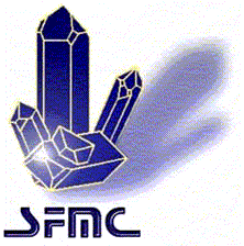 SFMC